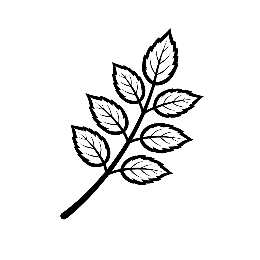 Askeblad