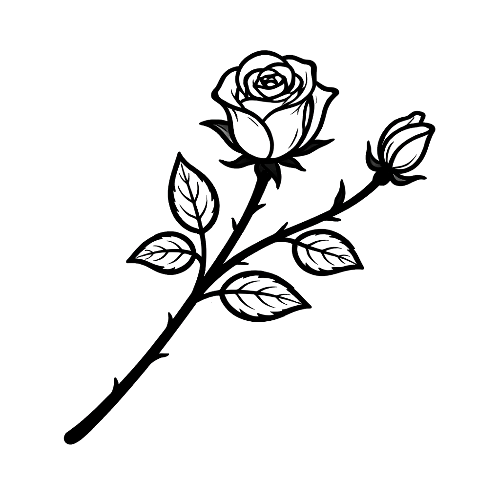 Rose 1